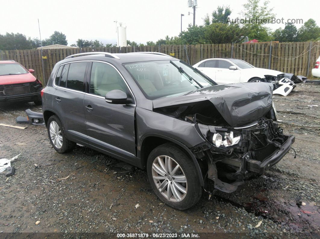 2013 Volkswagen Tiguan Se Gray vin: WVGAV3AX7DW602895