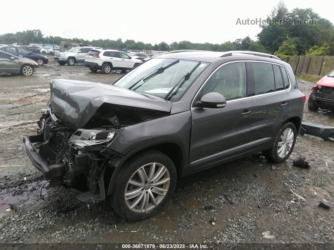 2013 Volkswagen Tiguan Se Gray vin: WVGAV3AX7DW602895