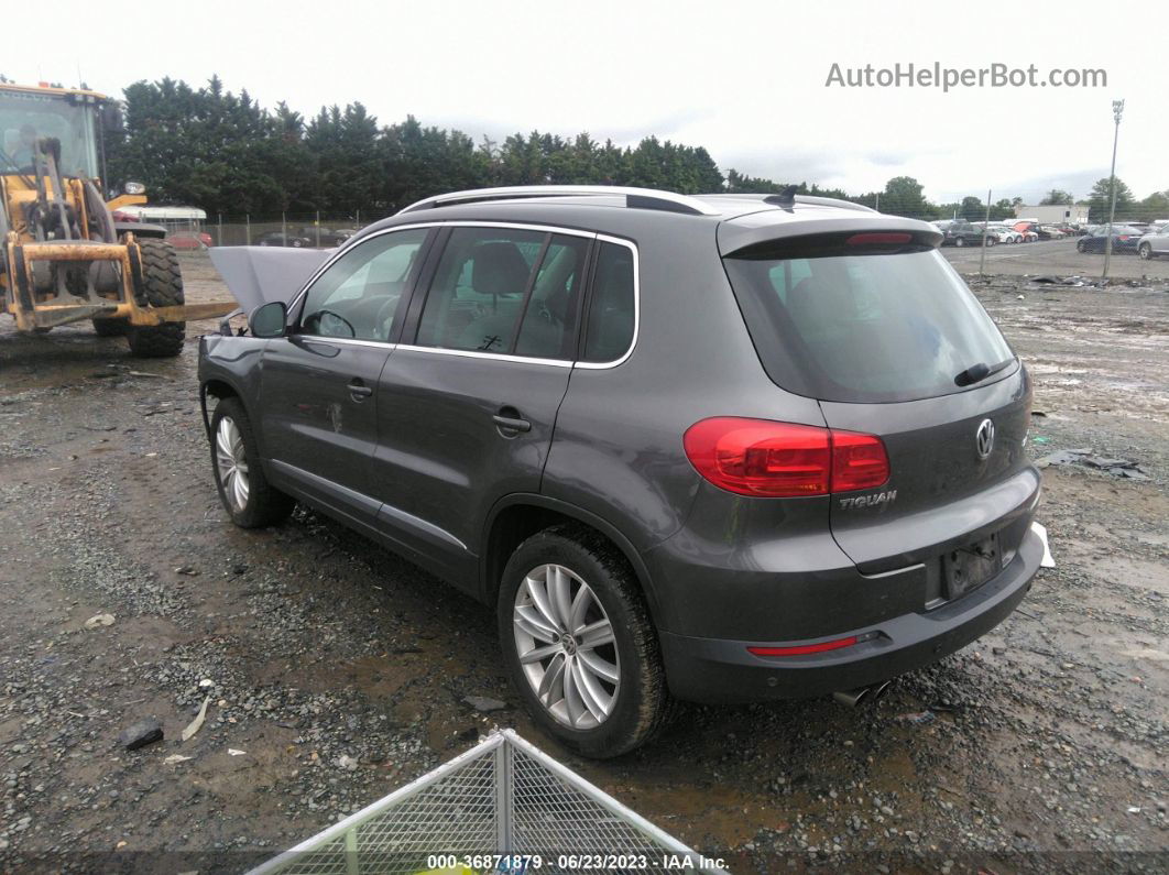 2013 Volkswagen Tiguan Se Gray vin: WVGAV3AX7DW602895