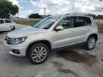 2013 Volkswagen Tiguan S Silver vin: WVGAV3AXXDW567415