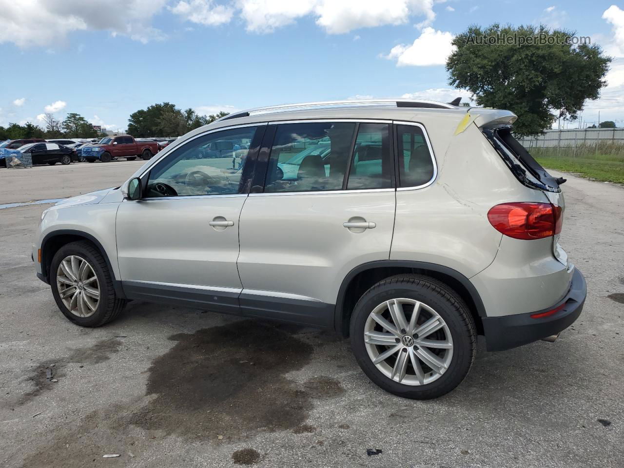 2013 Volkswagen Tiguan S Silver vin: WVGAV3AXXDW567415