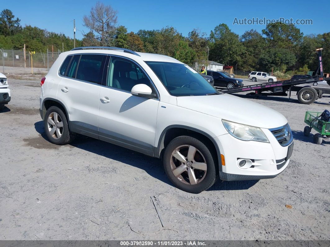 2010 Volkswagen Tiguan Wolfsburg Edition White vin: WVGAV7AX0AW002612