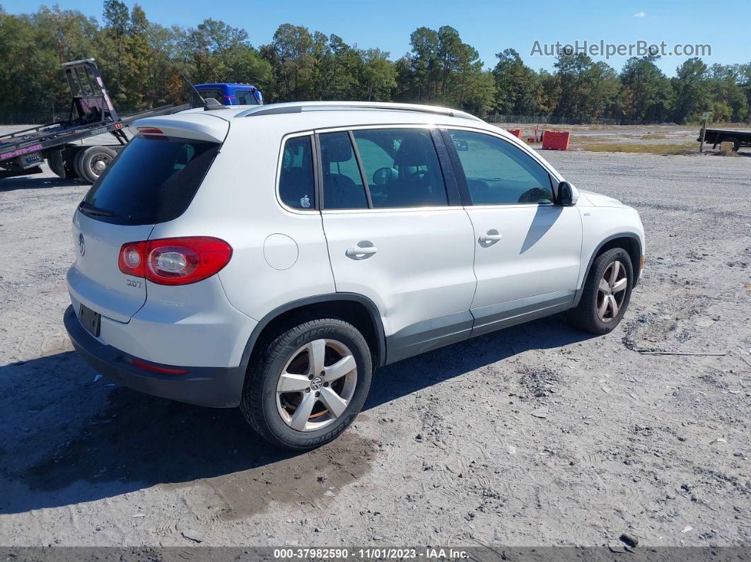 2010 Volkswagen Tiguan Wolfsburg Edition White vin: WVGAV7AX0AW002612