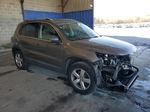 2010 Volkswagen Tiguan S Серый vin: WVGAV7AX0AW519778