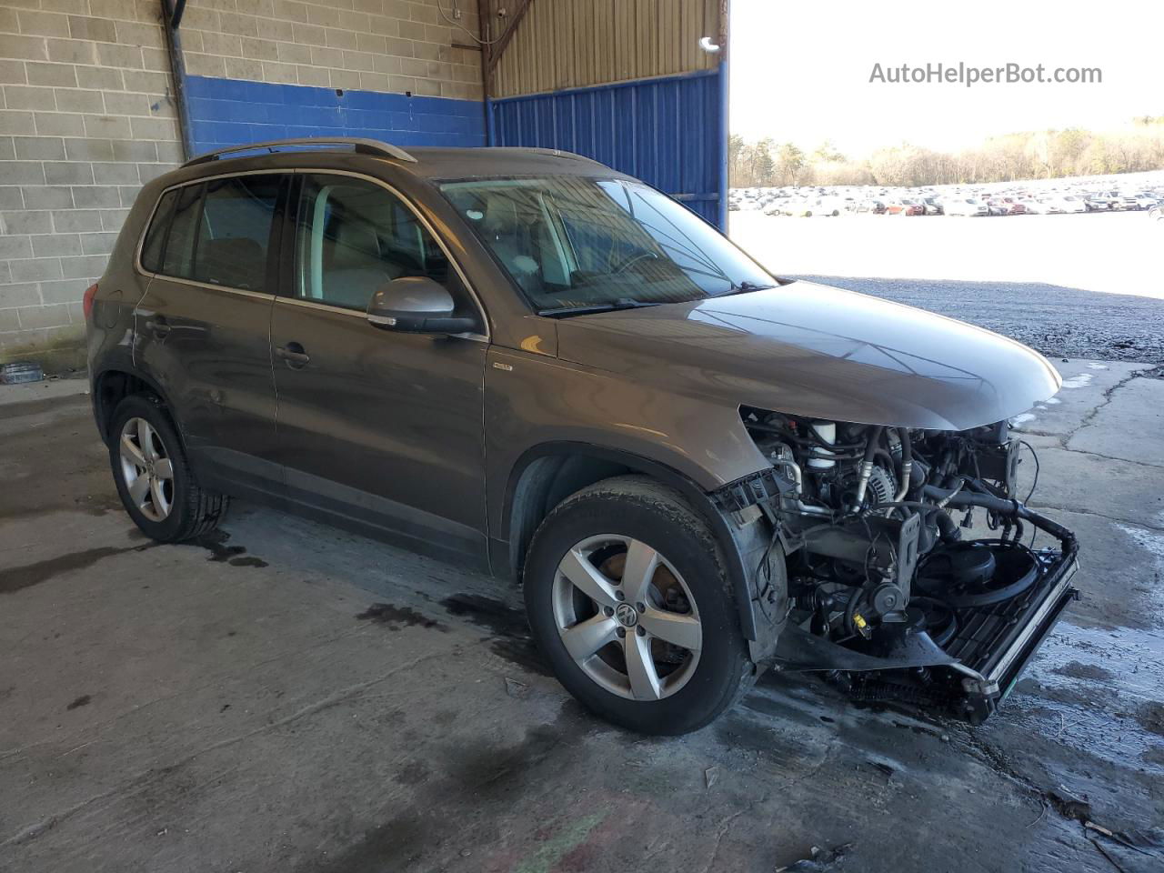 2010 Volkswagen Tiguan S Серый vin: WVGAV7AX0AW519778