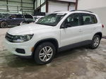 2016 Volkswagen Tiguan S Белый vin: WVGAV7AX0GW574756