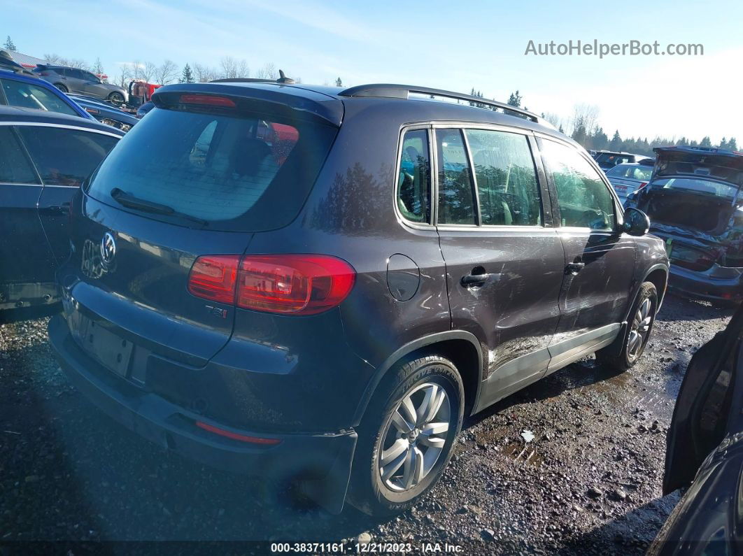 2016 Volkswagen Tiguan S Серый vin: WVGAV7AX0GW600918