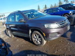 2016 Volkswagen Tiguan S Серый vin: WVGAV7AX0GW600918