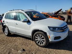 2017 Volkswagen Tiguan S White vin: WVGAV7AX0HK044960