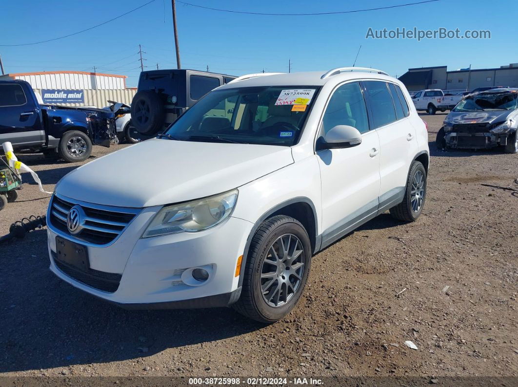 2010 Volkswagen Tiguan Se Белый vin: WVGAV7AX1AW000089