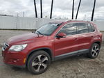 2010 Volkswagen Tiguan S Красный vin: WVGAV7AX1AW004210