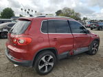 2010 Volkswagen Tiguan S Red vin: WVGAV7AX1AW004210