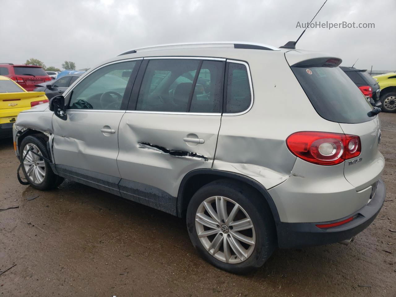 2010 Volkswagen Tiguan S Silver vin: WVGAV7AX1AW510863