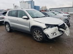 2010 Volkswagen Tiguan S Silver vin: WVGAV7AX1AW510863