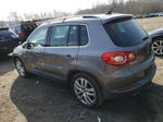 2010 Volkswagen Tiguan S Gray vin: WVGAV7AX1AW515626