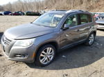 2010 Volkswagen Tiguan S Gray vin: WVGAV7AX1AW515626