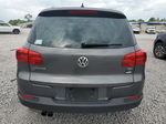 2016 Volkswagen Tiguan S Gray vin: WVGAV7AX1GW577424