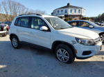 2017 Volkswagen Tiguan S White vin: WVGAV7AX1HK002300