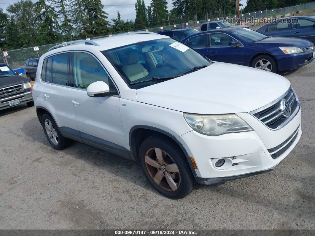 2010 Volkswagen Tiguan Wolfsburg Edition White vin: WVGAV7AX2AW516185