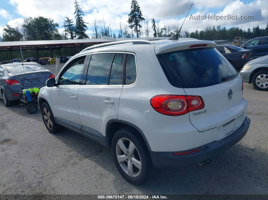 2010 Volkswagen Tiguan Wolfsburg Edition White vin: WVGAV7AX2AW516185