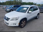 2010 Volkswagen Tiguan Wolfsburg Edition White vin: WVGAV7AX2AW516185