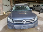 2016 Volkswagen Tiguan S Gray vin: WVGAV7AX2GW532685