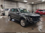 2016 Volkswagen Tiguan Se Gray vin: WVGAV7AX2GW549616