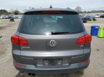 2016 Volkswagen Tiguan S Gray vin: WVGAV7AX2GW563676