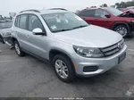 2017 Volkswagen Tiguan 2.0t S Gray vin: WVGAV7AX2HW512079