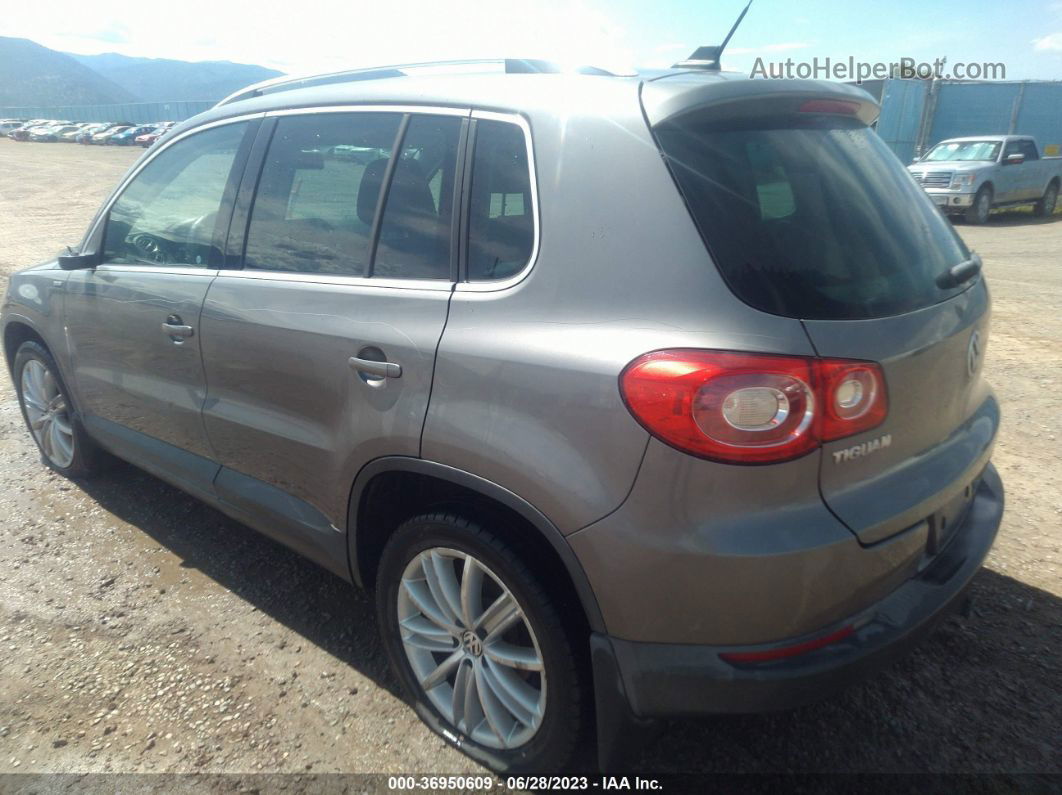 2010 Volkswagen Tiguan Wolfsburg Silver vin: WVGAV7AX3AW537577