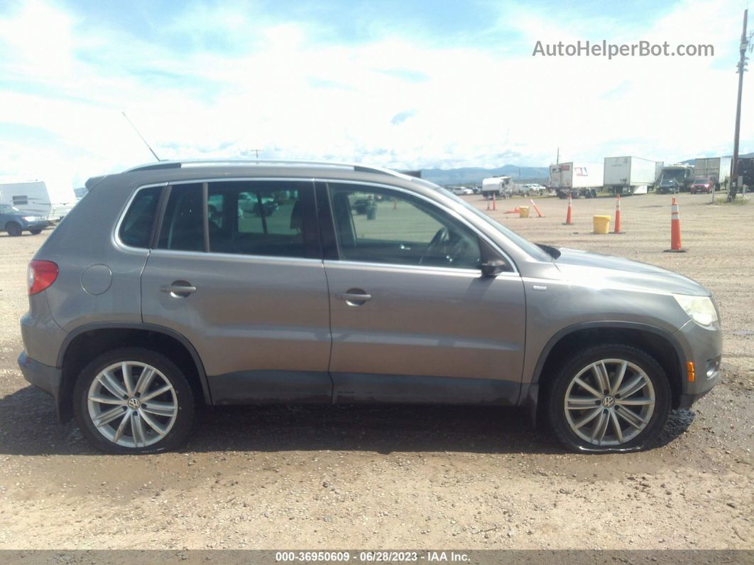 2010 Volkswagen Tiguan Wolfsburg Silver vin: WVGAV7AX3AW537577