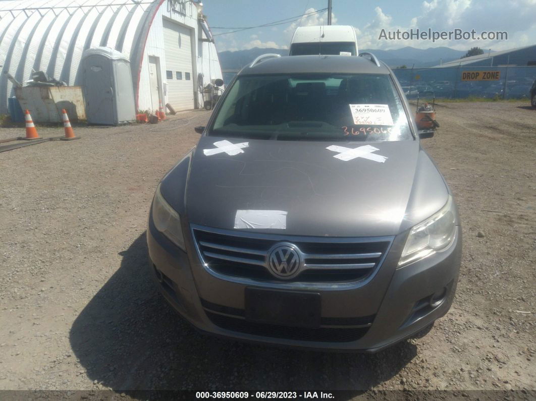 2010 Volkswagen Tiguan Wolfsburg Серебряный vin: WVGAV7AX3AW537577