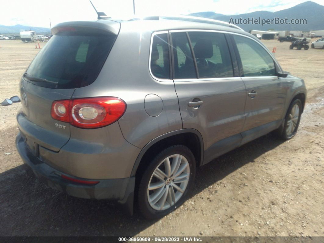 2010 Volkswagen Tiguan Wolfsburg Silver vin: WVGAV7AX3AW537577