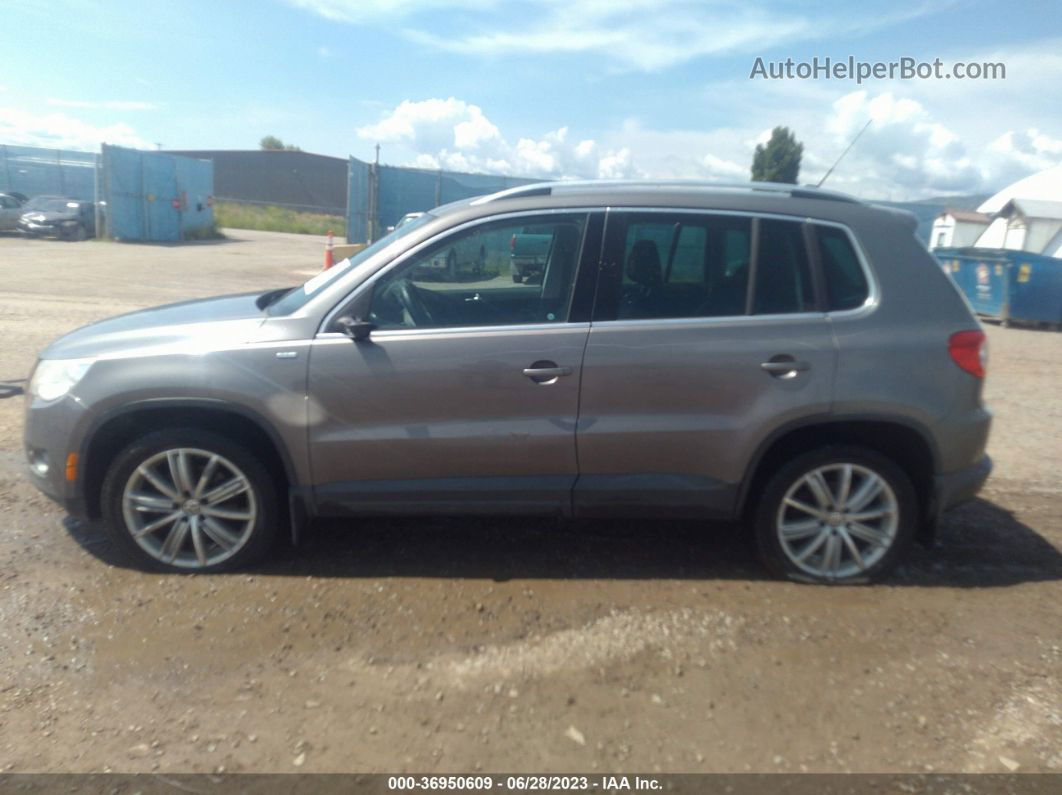 2010 Volkswagen Tiguan Wolfsburg Silver vin: WVGAV7AX3AW537577