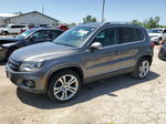 2013 Volkswagen Tiguan S Gray vin: WVGAV7AX3DW547109