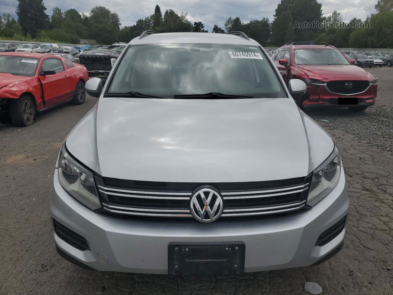 2016 Volkswagen Tiguan S Silver vin: WVGAV7AX3GW537247