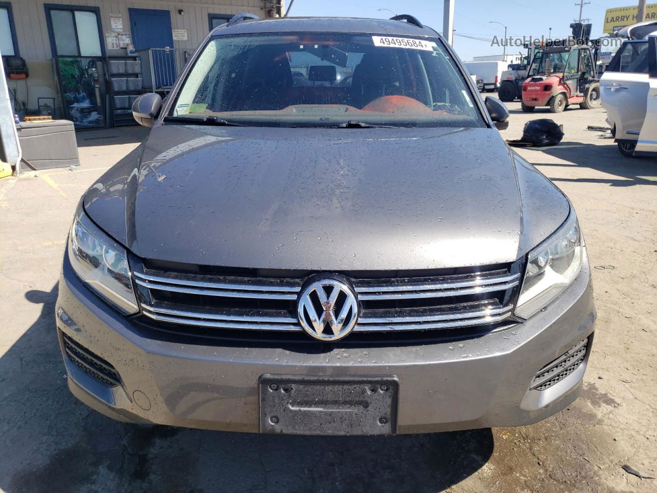 2018 Volkswagen Tiguan Limited  Gray vin: WVGAV7AX3JK006130