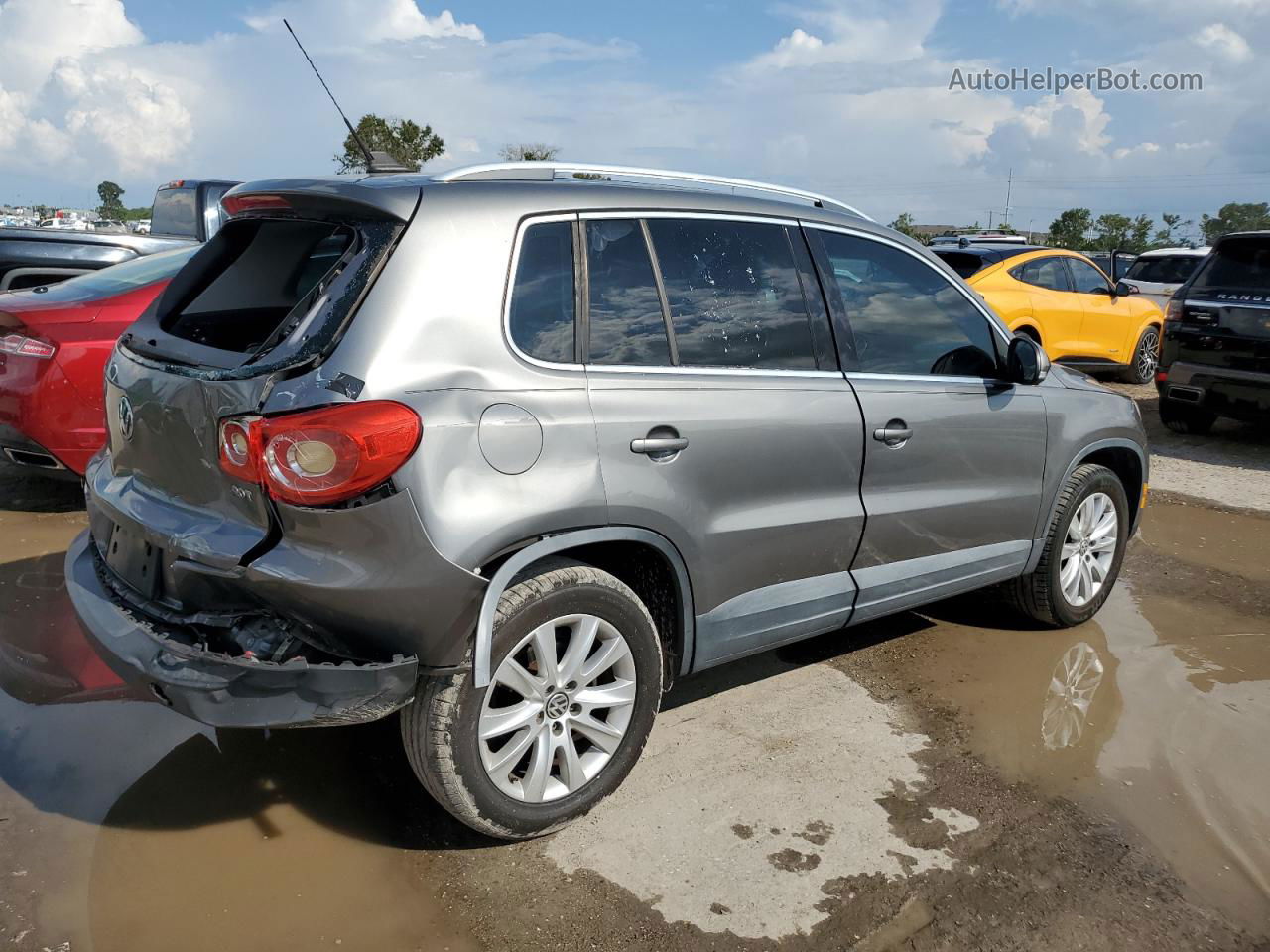 2010 Volkswagen Tiguan S Серый vin: WVGAV7AX4AW500814