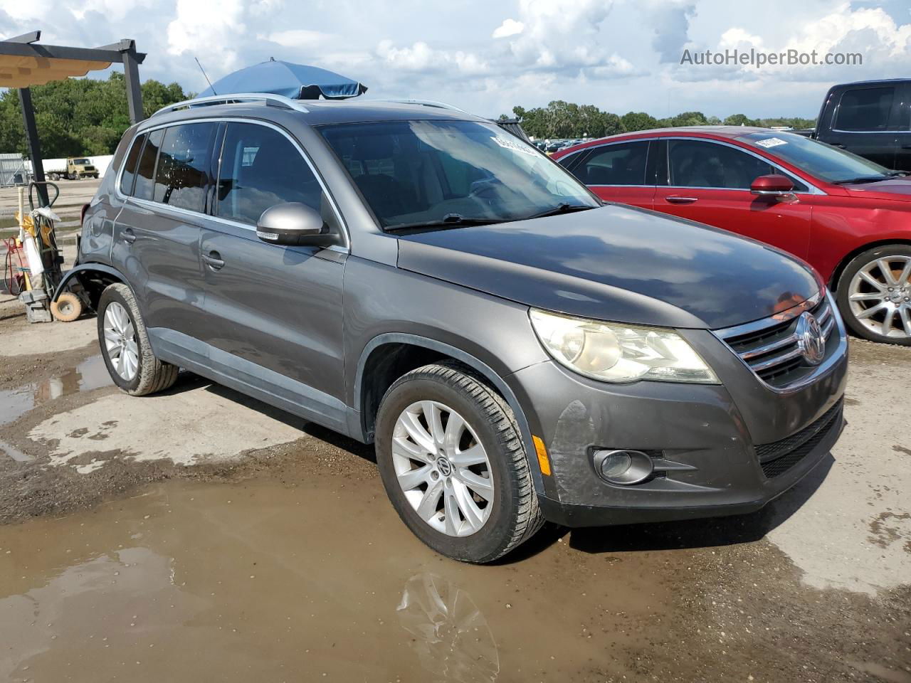 2010 Volkswagen Tiguan S Gray vin: WVGAV7AX4AW500814