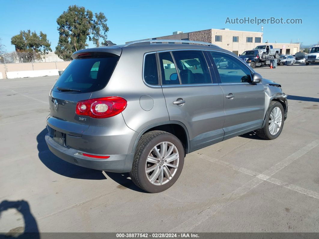 2010 Volkswagen Tiguan Wolfsburg Edition Серебряный vin: WVGAV7AX4AW524787