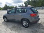 2016 Volkswagen Tiguan S Gray vin: WVGAV7AX4GW574596