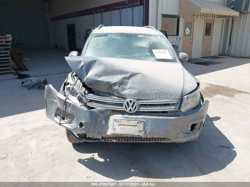 2016 Volkswagen Tiguan S Gray vin: WVGAV7AX4GW591642