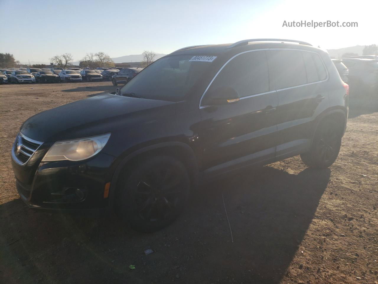 2010 Volkswagen Tiguan S Black vin: WVGAV7AX5AW001455