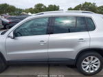 2010 Volkswagen Tiguan Se Silver vin: WVGAV7AX5AW508646