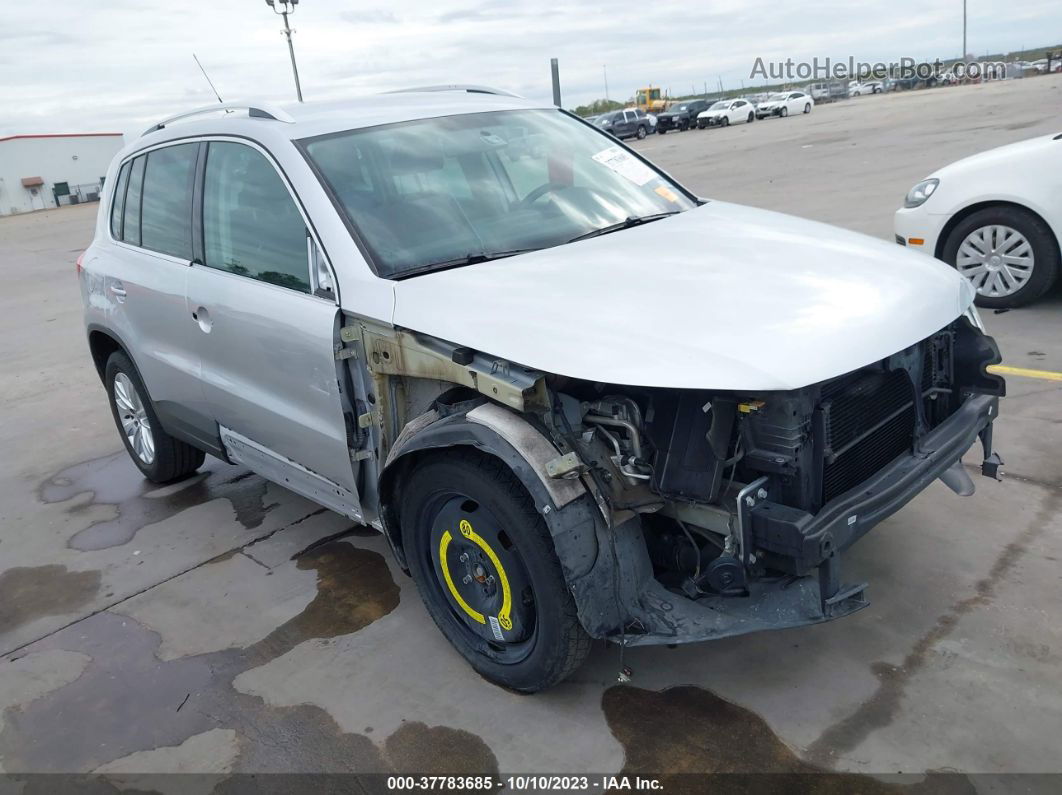 2010 Volkswagen Tiguan Se Silver vin: WVGAV7AX5AW508646