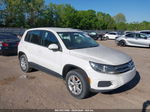 2013 Volkswagen Tiguan S Белый vin: WVGAV7AX5DW539383