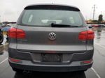 2018 Volkswagen Tiguan Limited  Gray vin: WVGAV7AX5JK002046