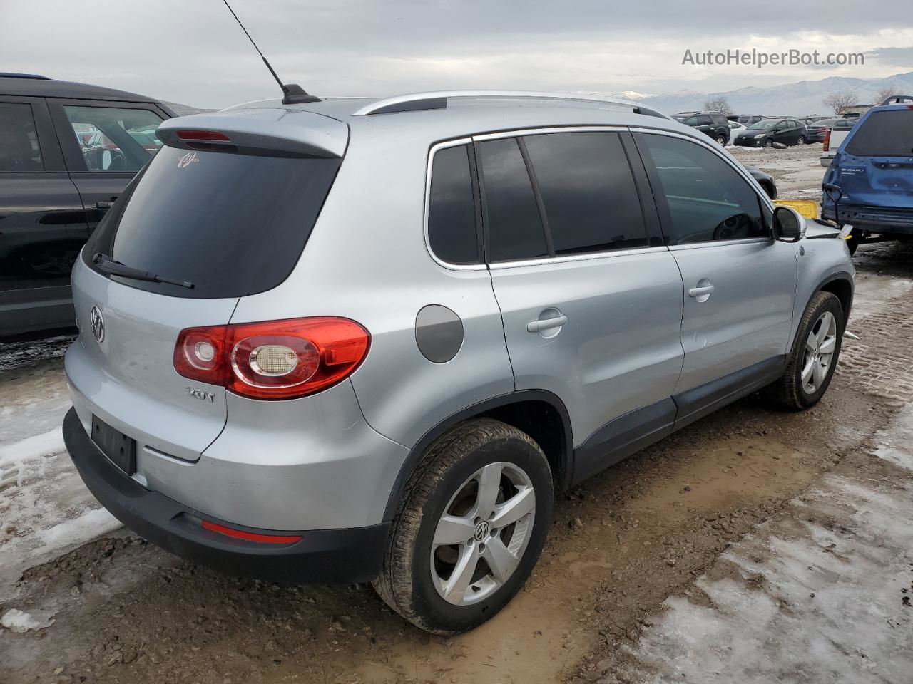 2010 Volkswagen Tiguan S Silver vin: WVGAV7AX6AW523866