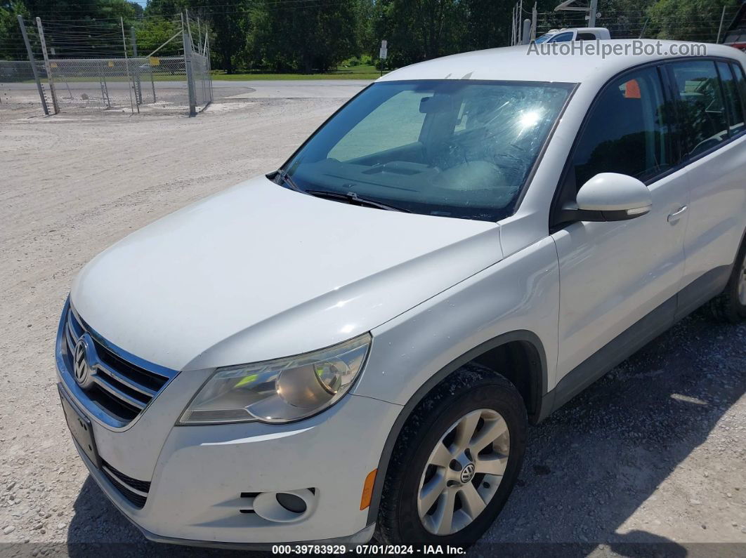 2010 Volkswagen Tiguan S White vin: WVGAV7AX6AW529991