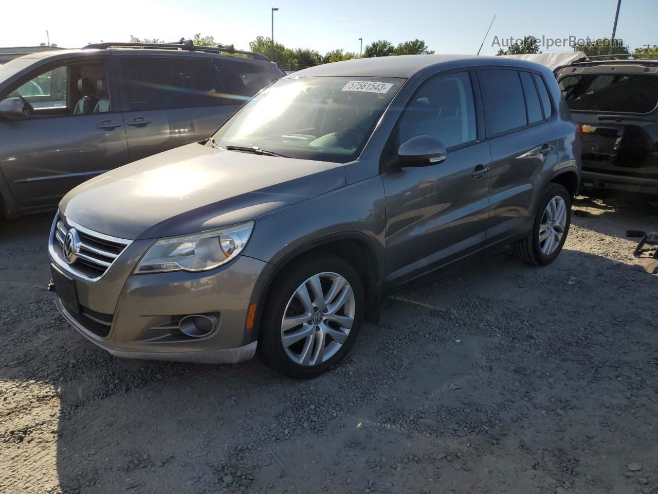 2010 Volkswagen Tiguan S Gray vin: WVGAV7AX6AW534589